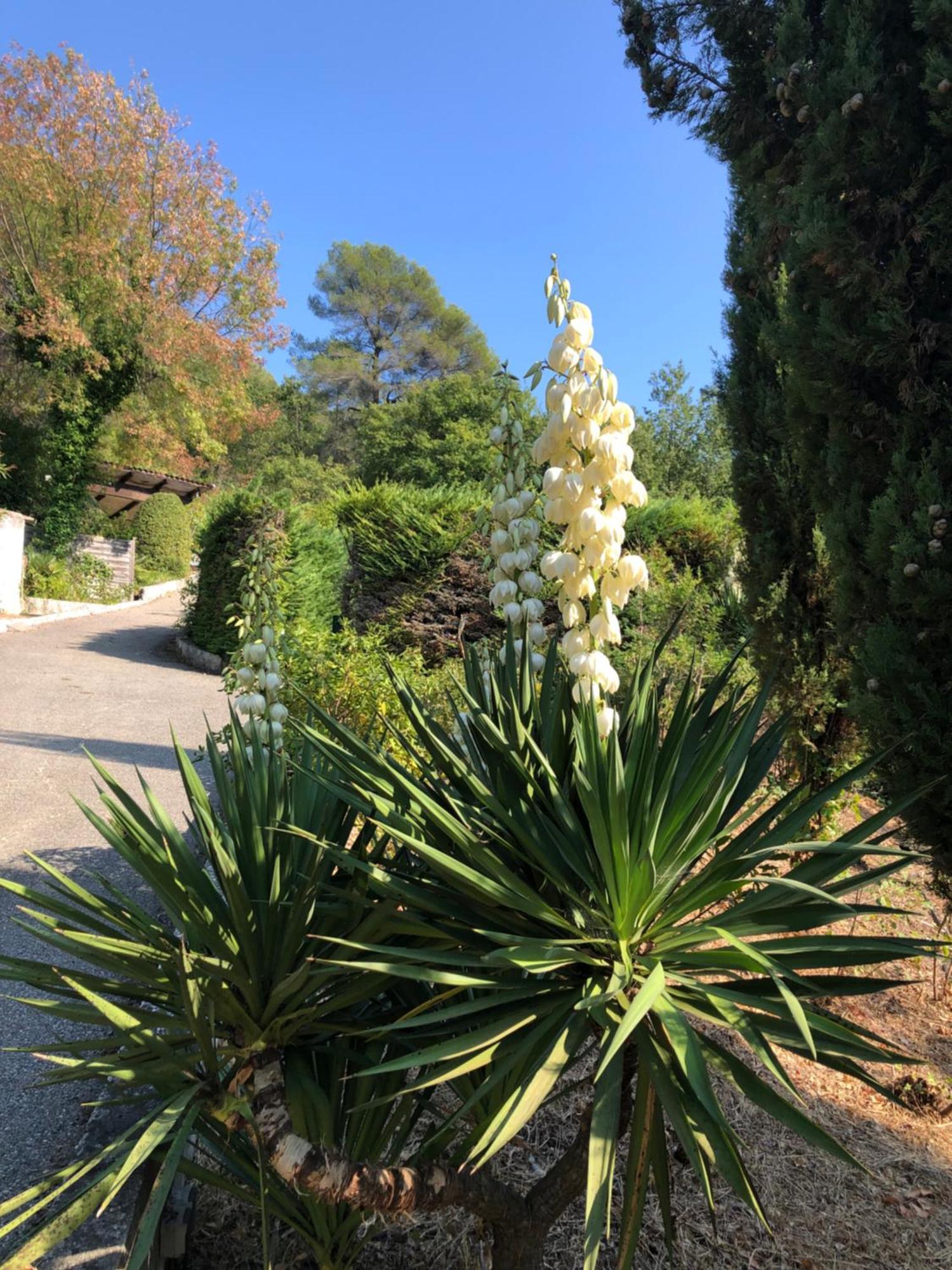 Domaine Double D Βίλα Καν-συρ-Μερ Εξωτερικό φωτογραφία